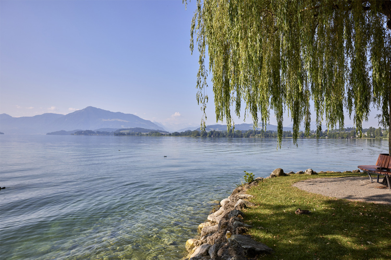 Aussicht Zugersee